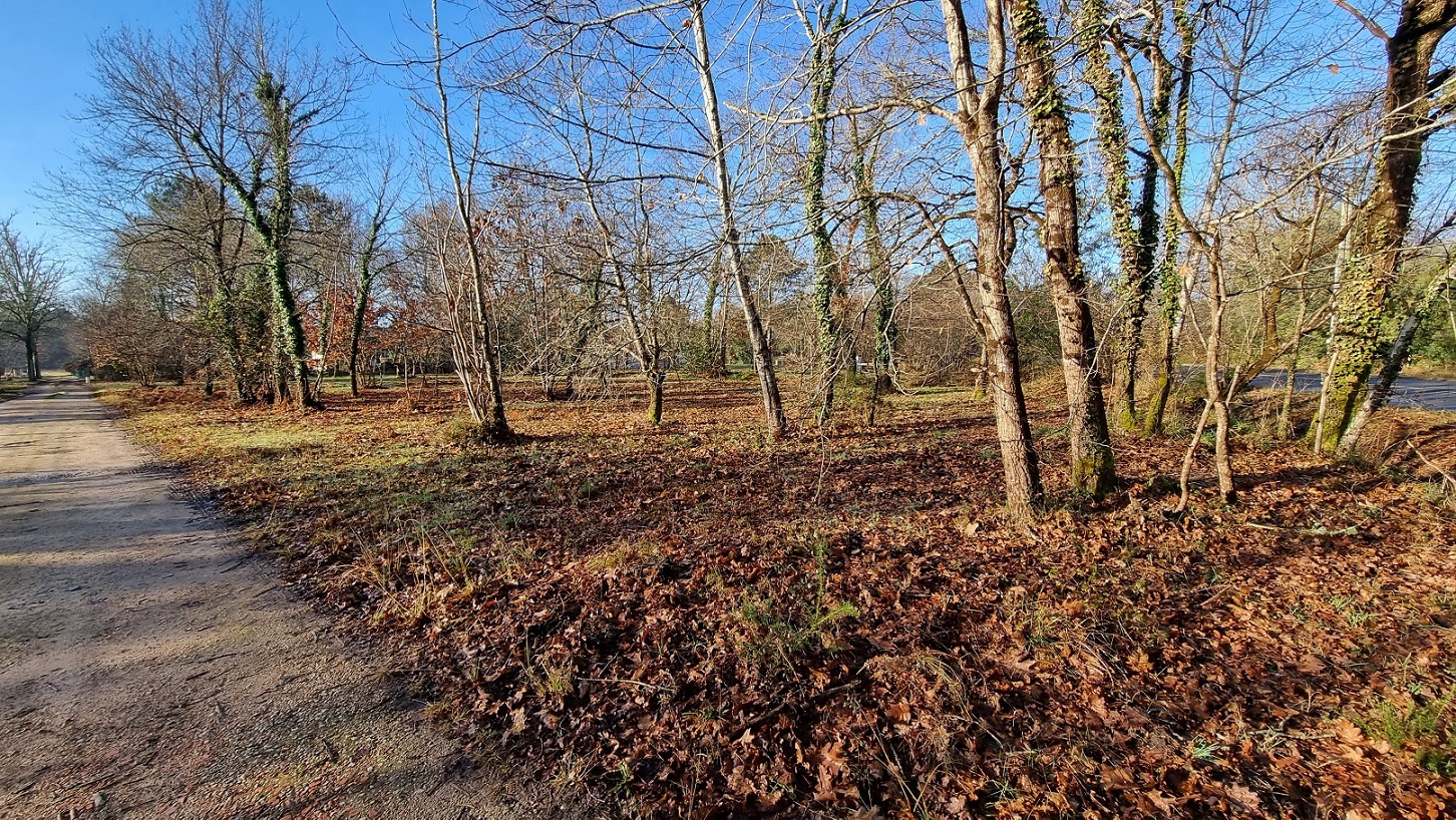 Agence immobilière de agence b2s immobilier