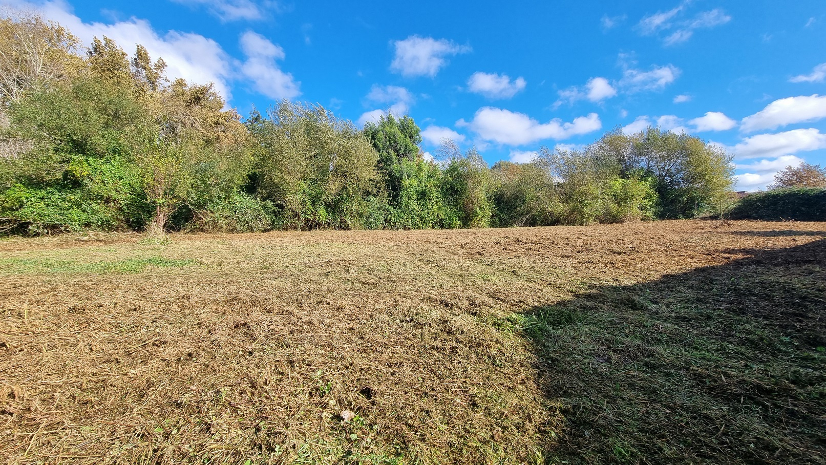 Agence immobilière de agence b2s immobilier